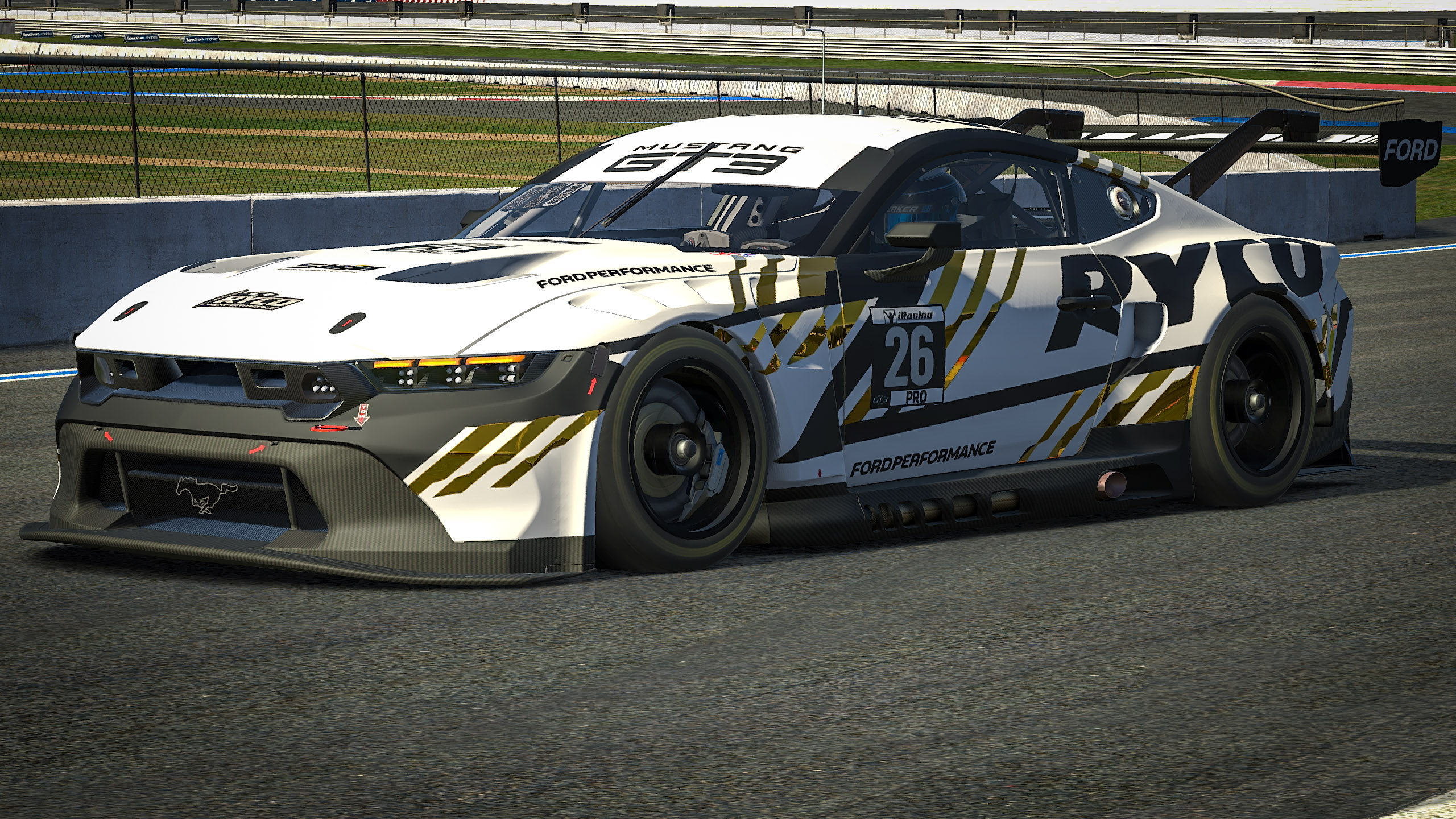 RYCO - Ford Mustang GT3